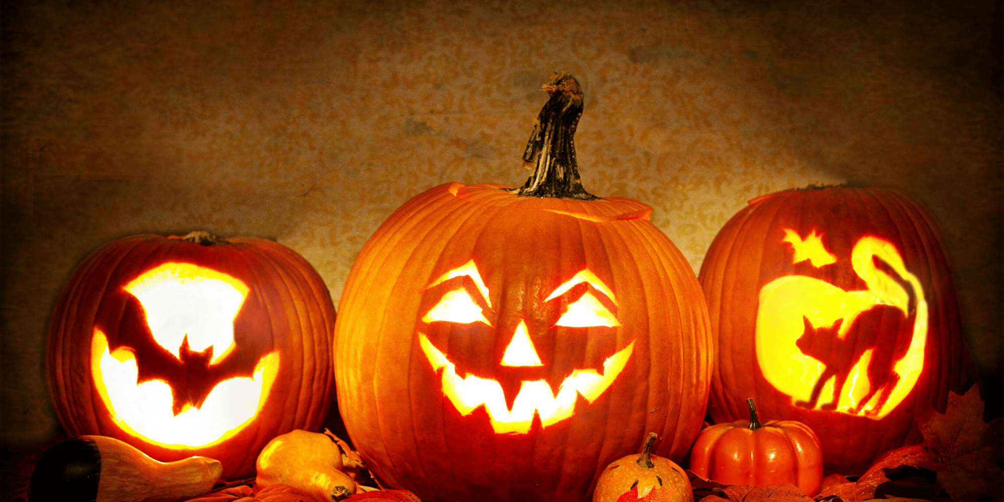 Three Literary Pumpkin Ideas for Book Lovers – Tapestry and Tomes